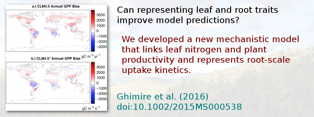 Can representing leaf and root traits improve model predictions? We developed a new mechanistic model that links leaf nitrogen and plant productivity and represents root-scale uptake kinetics. Ghimire et al. (2016), doi:10.1002/2015MS000538.